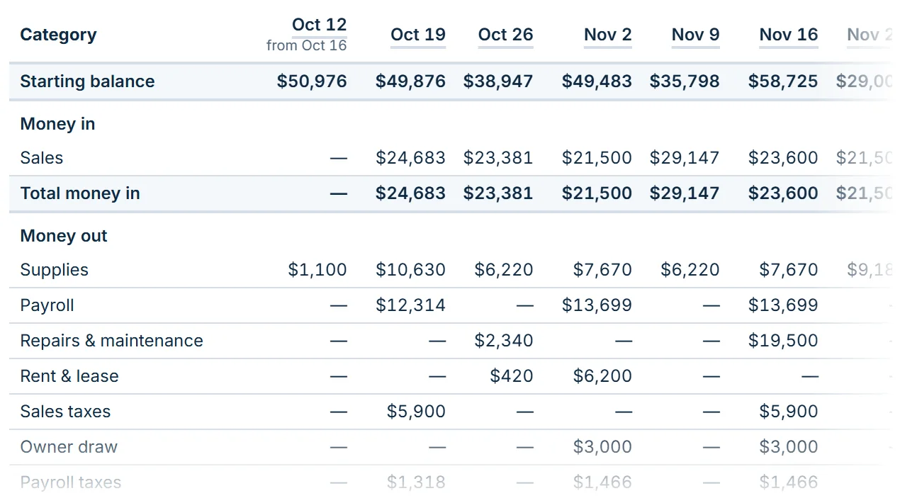 The 13-week grid in the Detailed view: a column for every week and a row for every category, from the starting balance down through money in and money out.
